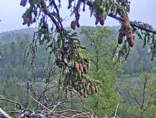Negaisa laikā.jpg