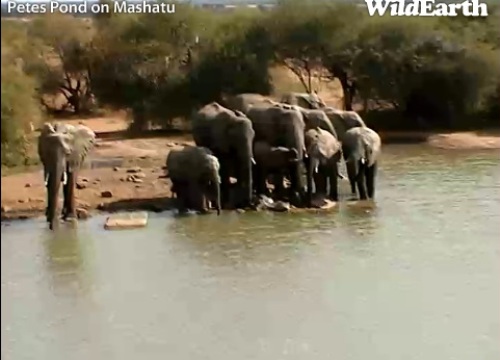 Mashatu_18_06_17.jpg