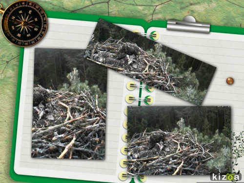 www.kizoa.com_collage_2015-07-12_11-24-58.jpg