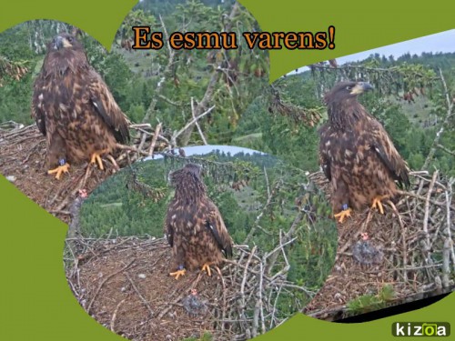 www.kizoa.com_collage_2015-07-25_19-41-31.jpg