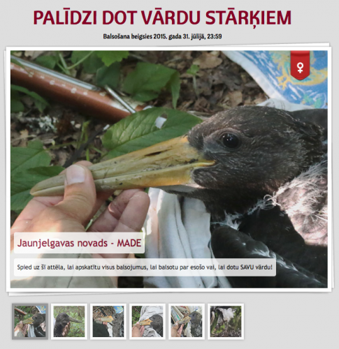 Screen Shot 2015-07-30 at 12.22.02.png