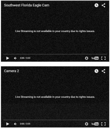 Camera-live.jpg