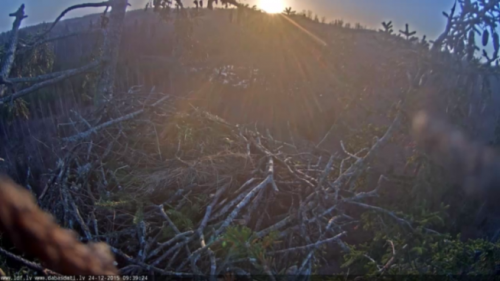 vlcsnap-2015-12-24-09h42m51s480.png