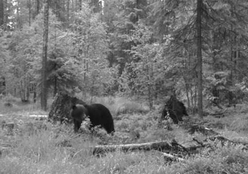 vlcsnap-2011-06-19-23h12m07s237.png
