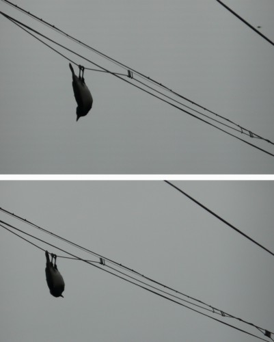 foto .JPG