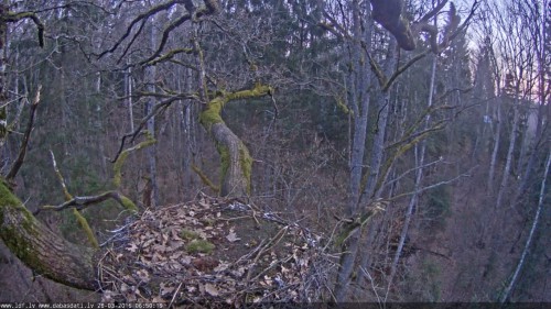 Screenshot (295).jpg