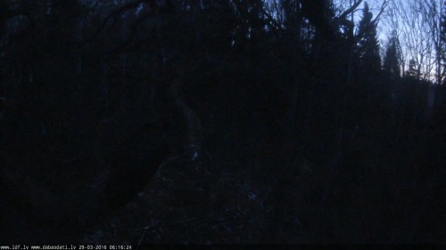 Screenshot (343).jpg
