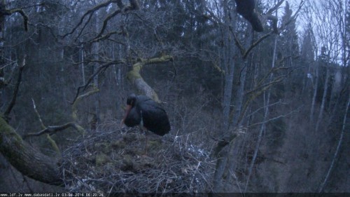Screenshot (500).jpg