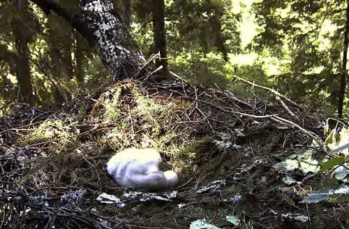 vlcsnap-2011-06-27-16h11m03s130.png