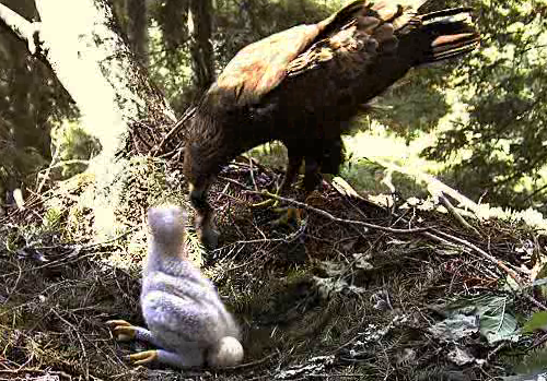 vlcsnap-2011-06-27-16h33m48s223.png