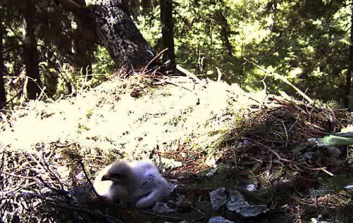 vlcsnap-2011-06-29-14h40m15s106.png