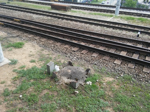 20160516_145348DD.jpg