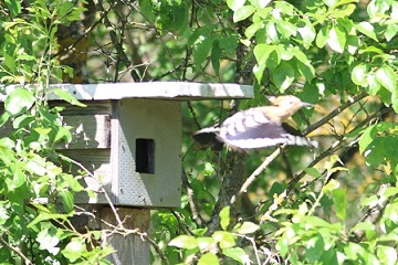 IMG_7481.jpg