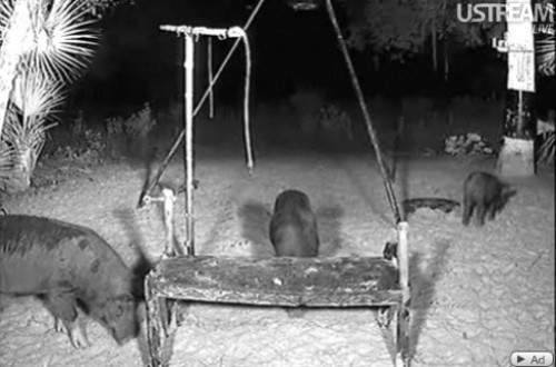 Florida_13_07_2.jpg
