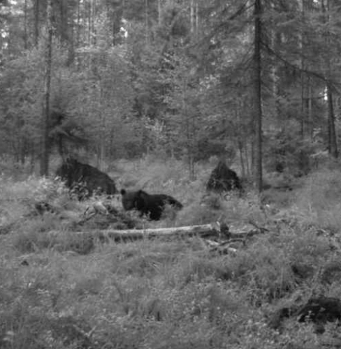 vlcsnap-2011-08-12-22h04m34s163.png