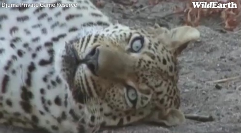 Safari_30_08_11_9.jpg