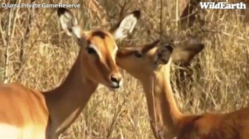 Safari_10_09_11_10.jpg