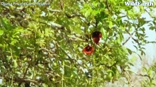 Safari_10_09_11_16.jpg