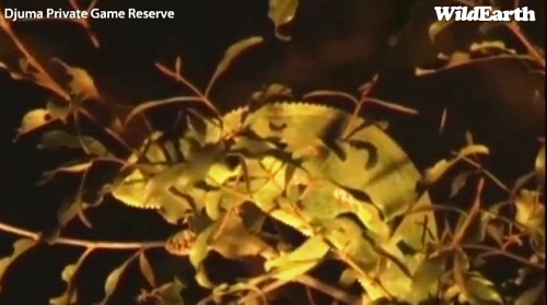 Safari_17_09_11_vak9.jpg