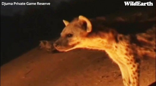 Safari_18_09_11_vak16.jpg
