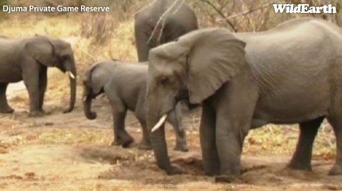 Safari_20_09_11_rits2.jpg