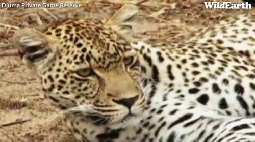 Safari_23_09_11_rits1.jpg
