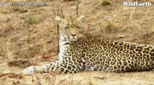 Safari_23_09_11_rits9.jpg