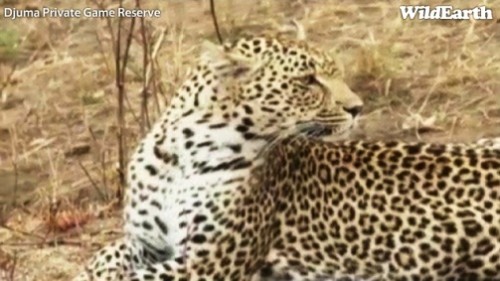 Safari_23_09_11_rits11.jpg