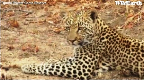 Safari_23_09_11_rits7.jpg