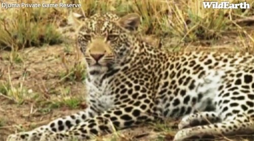 Safari_23_09_11_rits17.jpg