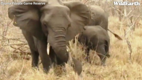 Safari_23_09_11_rits24.jpg