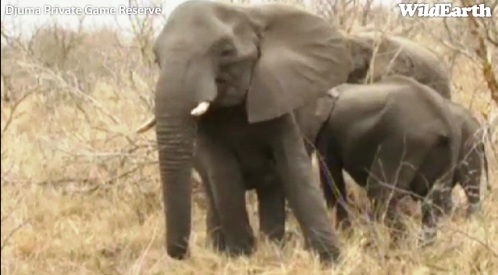 Safari_23_09_11_rits25.jpg