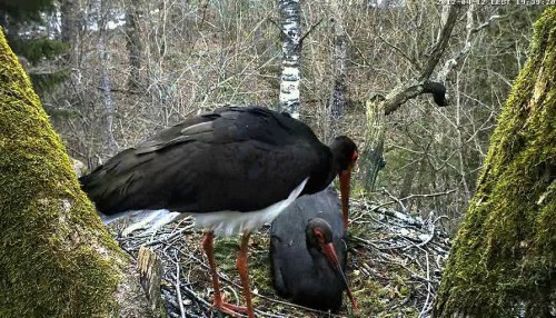 vlcsnap-2012-04-12-19h39m58s2.jpg