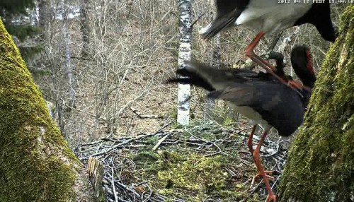 vlcsnap-2012-04-12-19h44m50s111.jpg