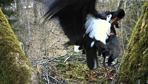 vlcsnap-2012-04-12-19h44m56s175.jpg