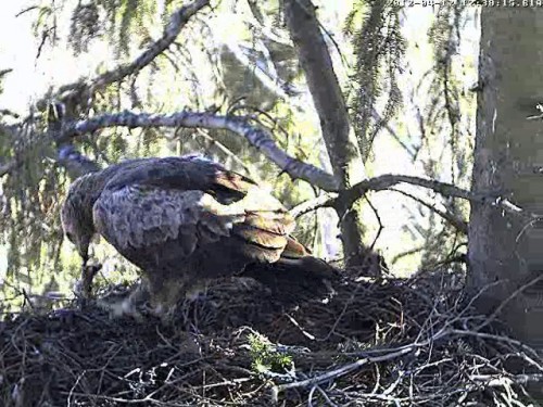 vlcsnap-2012-04-12-13h03m20s151.jpg