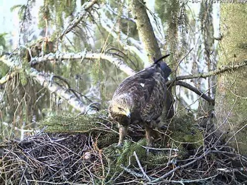 vlcsnap-2012-04-17-20h25m04s162.jpg