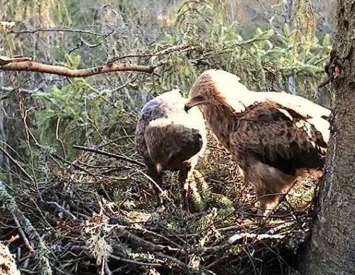 vlcsnap-2012-04-22-07h27m49s231.jpg
