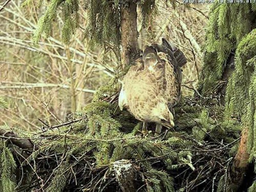 vlcsnap-2012-04-24-10h31m44s101.jpg