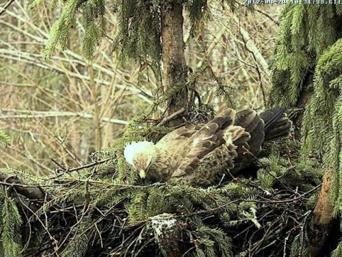 vlcsnap-2012-04-24-10h32m35s107.jpg