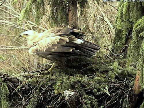 vlcsnap-2012-04-24-10h34m00s180.jpg