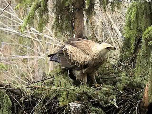 vlcsnap-2012-04-24-12h25m02s250.jpg