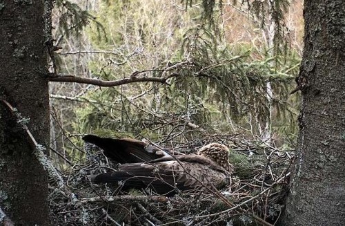 eha 27_04_12 12.18.JPG