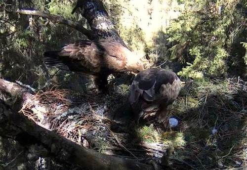 tuule 01.05.12 11.15.JPG
