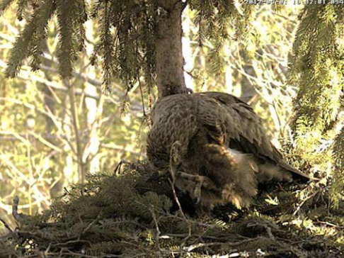 vlcsnap-2012-05-01-16h33m00s250.png