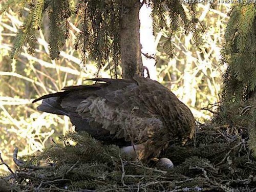 vlcsnap-2012-05-01-18h30m44s115.jpg