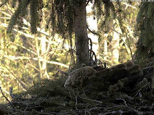 vlcsnap-2012-05-01-18h46m12s180.jpg