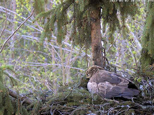 vlcsnap-2012-05-02-20h41m18s121.png