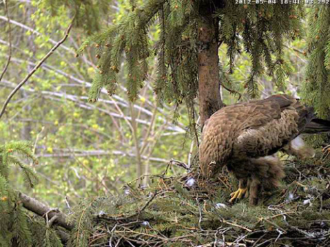 vlcsnap-2012-05-04-18h41m55s99.png