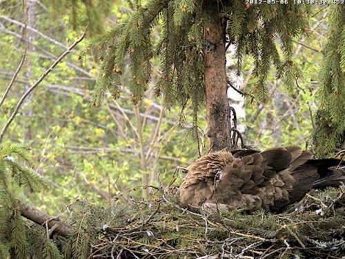 vlcsnap-2012-05-06-10h31m43s215.jpg